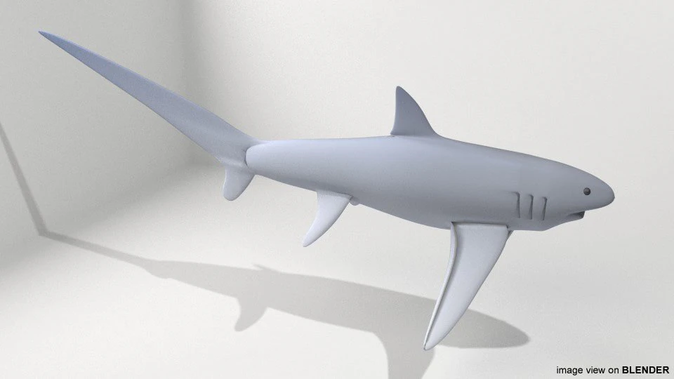 fox shark 3D Model .c4d .max .obj .3ds .fbx .stl .blend 