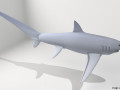 Fox Shark 3D-Modell