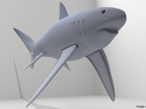 fox shark 3D मॉडल