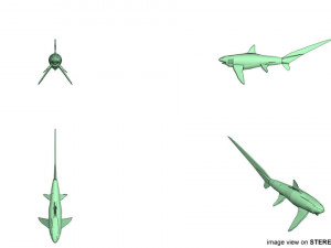 fox shark 3D मॉडल