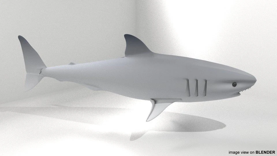 great white shark 3D Model .c4d .max .obj .3ds .fbx .stl .blend 