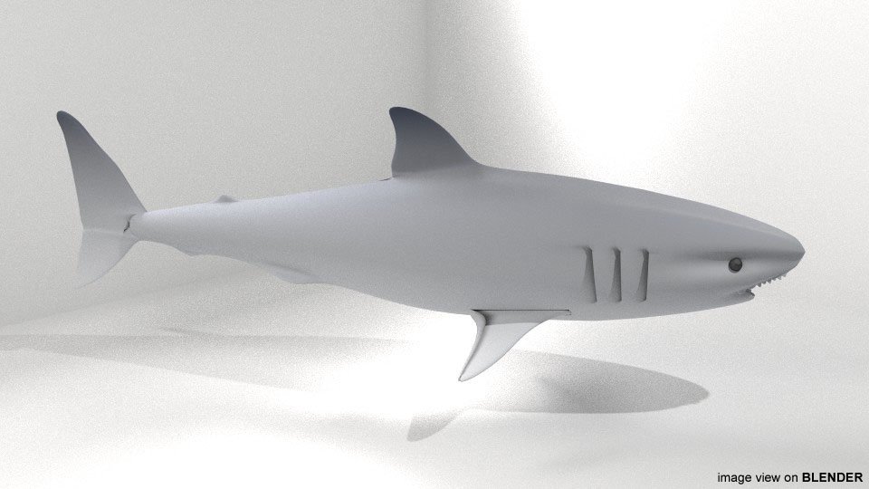 Great White Shark 3d Model In Shark 3dexport