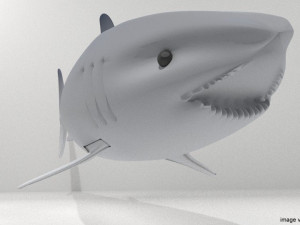 great white shark 3D Modell