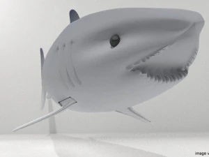 great white shark 3D Model