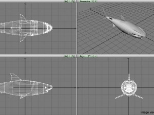 great white shark 3D Modell