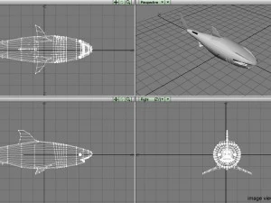 great white shark 3D Model