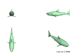 great white shark 3D Model