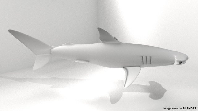 hammerhead shark Modelo 3D .c4d .max .obj .3ds .fbx .stl .blend 