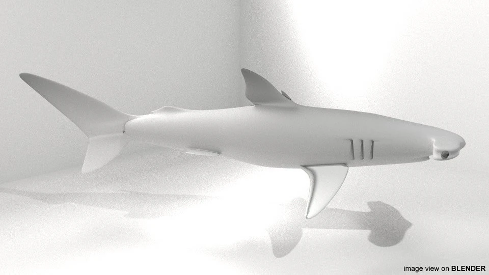 hammerhead shark 3D Model .c4d .max .obj .3ds .fbx .stl .blend