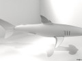 Hammerhead Shark 3D-Modell