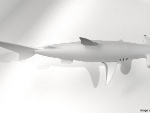 hammerhead shark Modelo 3D