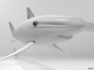 hammerhead shark Modelo 3D