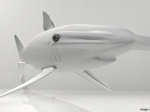 hammerhead shark 3D Model