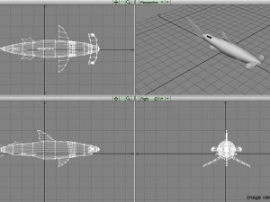 hammerhead shark Modelo 3D