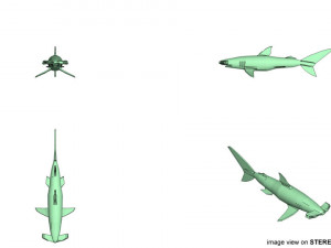 hammerhead shark Modelo 3D