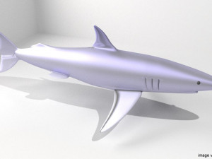 mako shark 3D Model