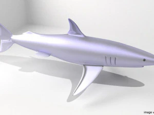 마코상어 3D 모델