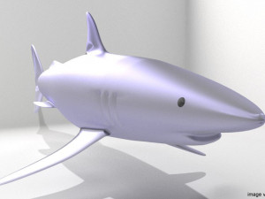 mako shark Modelo 3D