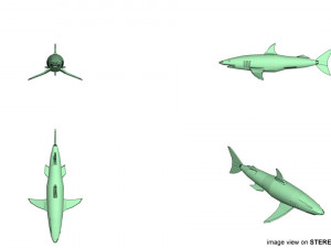 mako shark Modelo 3D
