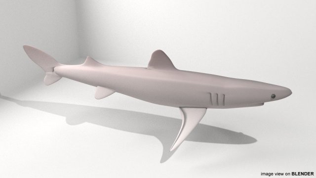 piked shark 3D Model .c4d .max .obj .3ds .fbx .stl .blend 