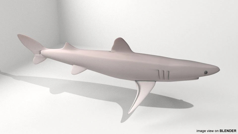 piked shark 3D Model .c4d .max .obj .3ds .fbx .stl .blend 