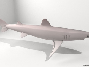 piked shark 3D Model