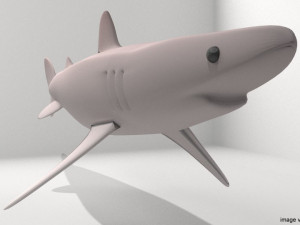 piked shark 3D Model