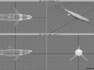 piked shark 3D Model