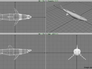 piked shark 3D Model