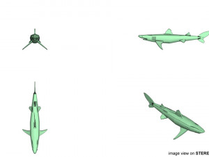 piked shark 3D Model
