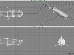 whaleshark 3D Model