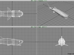 whaleshark 3D Model