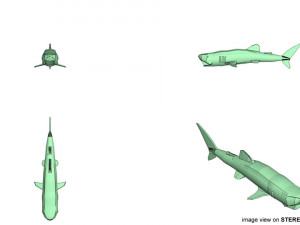 whaleshark 3D Model