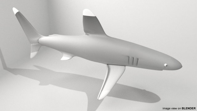 whitetip shark Modelo 3D .c4d .max .obj .3ds .fbx .stl .blend 