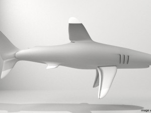 whitetip shark Modelo 3D