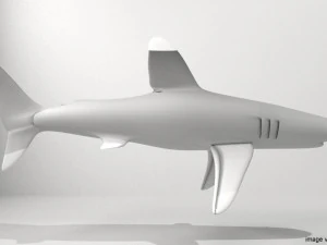 whitetip shark 3D Model