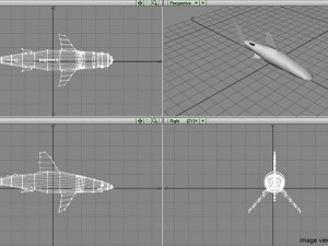 whitetip shark Modelo 3D