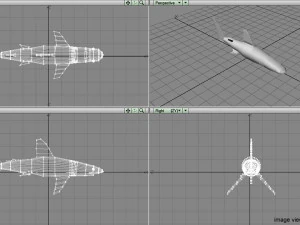 whitetip shark 3D Model