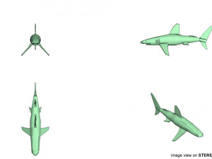 whitetip shark Modelo 3D