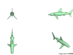 whitetip shark 3D Model
