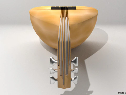 Musical Instrument - Gambus 3D Model