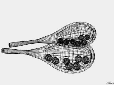 Musical Instrument - Maraca 3D Model