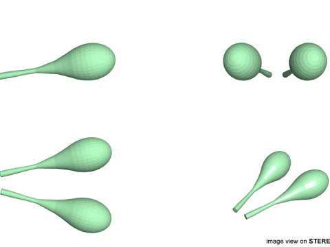 Musical Instrument - Maraca 3D Model