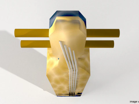 Strumento musicale - Sape Modello 3D