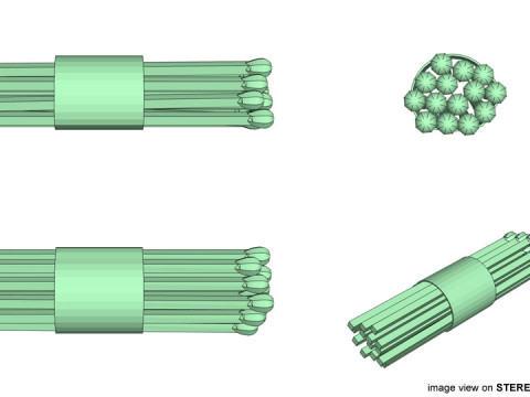 Matchroll 3D Model