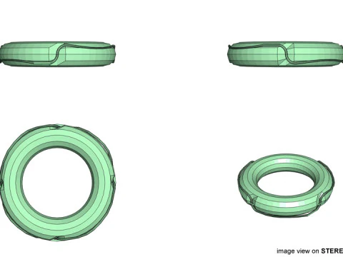 Salvagente anulare - Tipo 1 Modello 3D