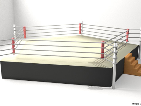 Ring Arena - 5 sided 3D Model