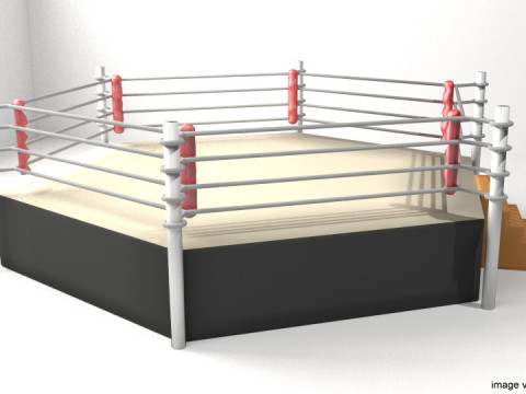 Ring Arena - 6 sided 3D Model