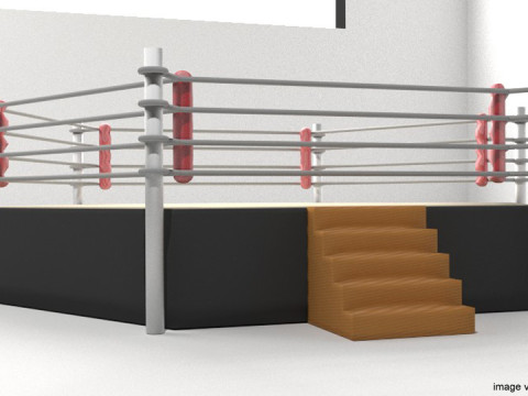 Ring Arena - 6 sided 3D 模型