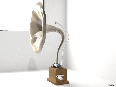 Fon&oacute;grafo - Tipo 1 Modelo 3D